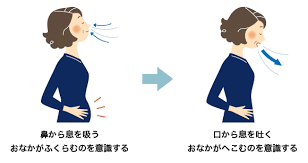 がぞう